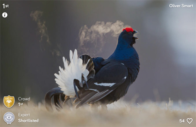 © Oliver Smart/Photocrowd/NPL/BTO